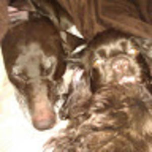 Meet your Posher, Sam